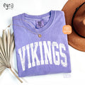 Vikings Mascot T-shirt Comfort Colors® Game Day Shirt, Vikings Spirit Tee, Vintage Vikings T-shirt, Football Shirts, School Mascot Shirt
