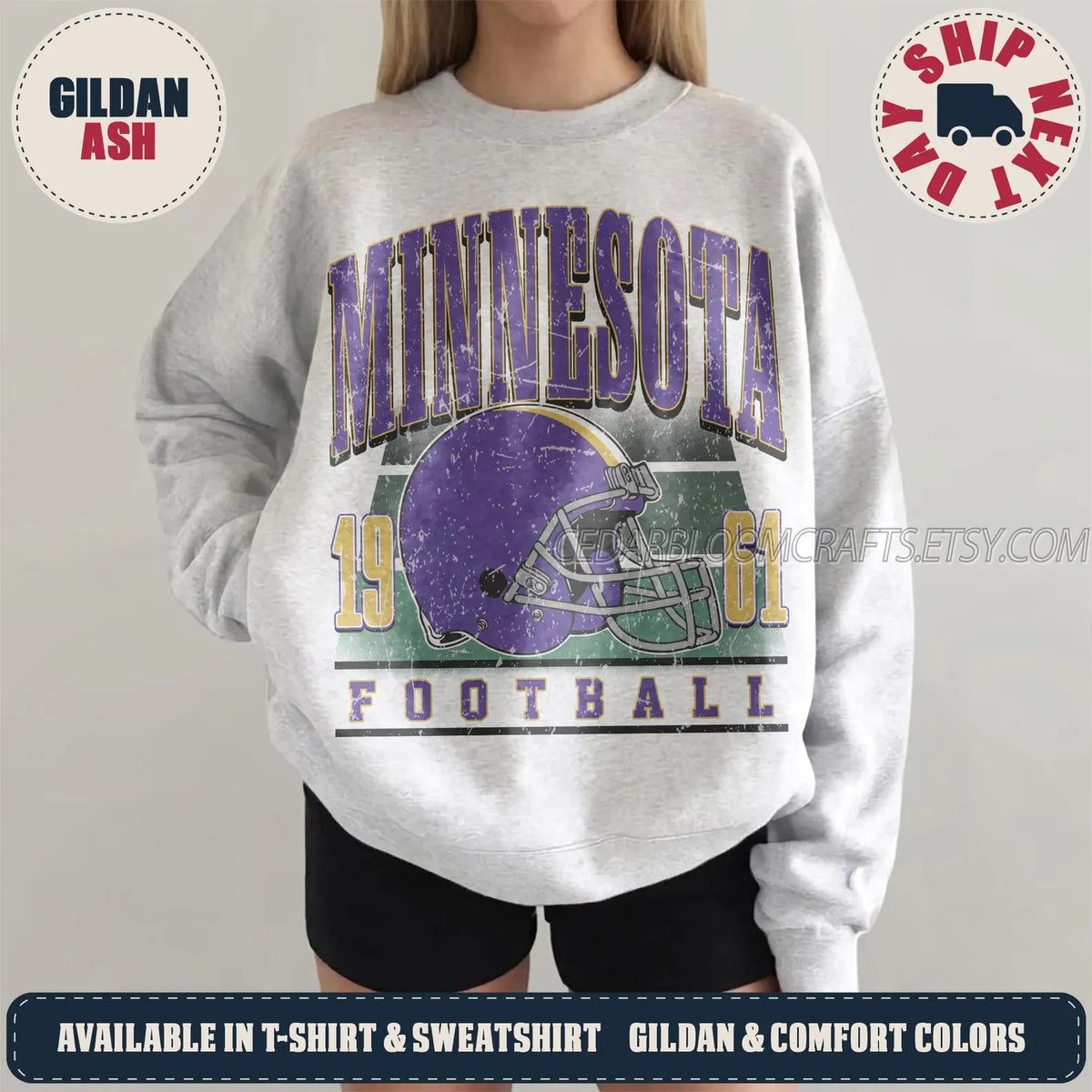 Minnesota Football Vintage Sweatshirt, 90s Retro Graphic Tee, Game Day Oversized T-Shirt
